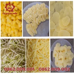 Đặc điểm của máy cắt rau củ quả