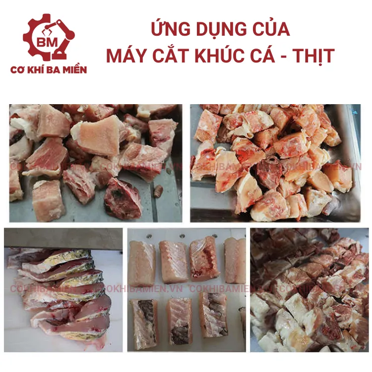Ứng dụng của máy cắt khúc cá