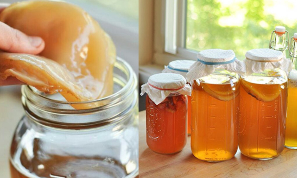Cách làm trà trái cây Kombucha