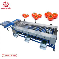 Máy phân loại con lăn trái cây