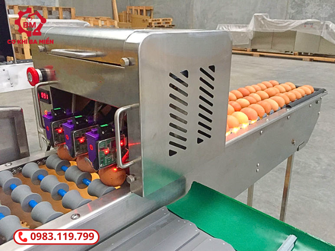 Máy phân loại trứng gà vịt